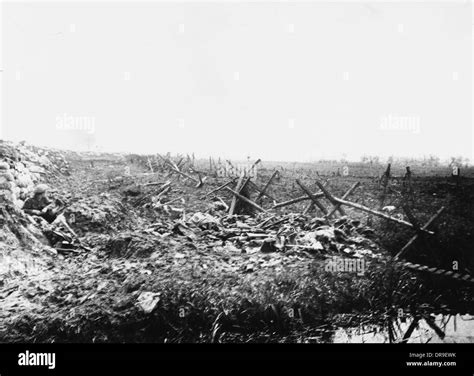 battle of festubert 1915.